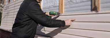 Best Custom Siding Design  in Lower Lake, CA